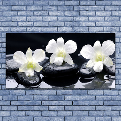 Schilderij op canvas Orchid plant stones