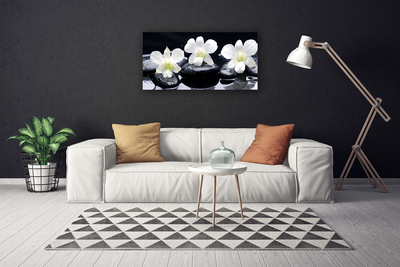 Schilderij op canvas Orchid plant stones