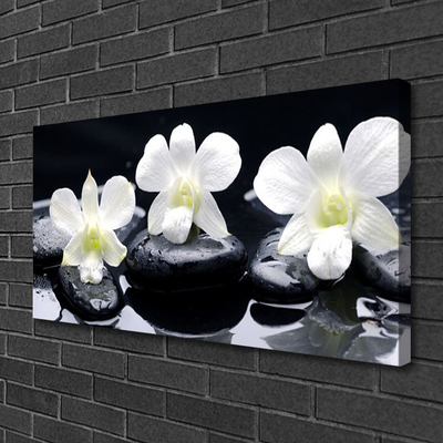 Schilderij op canvas Orchid plant stones