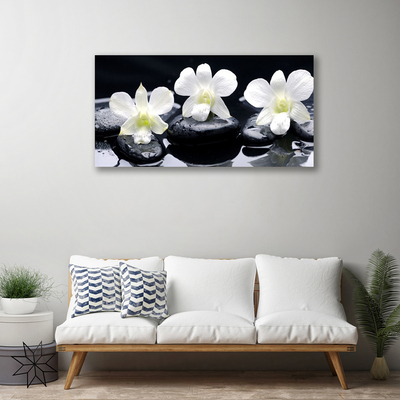 Schilderij op canvas Orchid plant stones