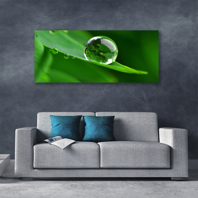 Schilderij op canvas Plant leaf water drops