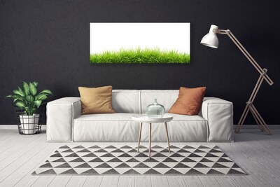 Schilderij op canvas Grass nature plant