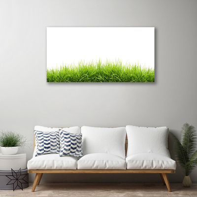 Schilderij op canvas Grass nature plant