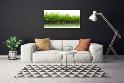 Schilderij op canvas Grass nature water plant