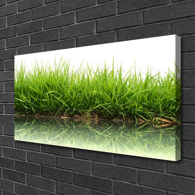 Schilderij op canvas Grass nature water plant
