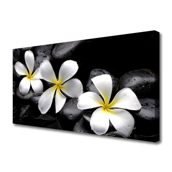 Schilderij op canvas Plumeria bloem plant