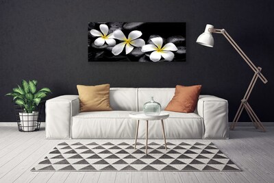 Schilderij op canvas Plumeria bloem plant