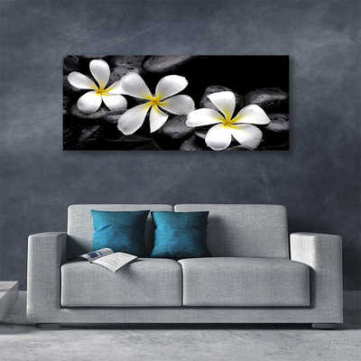 Schilderij op canvas Plumeria bloem plant