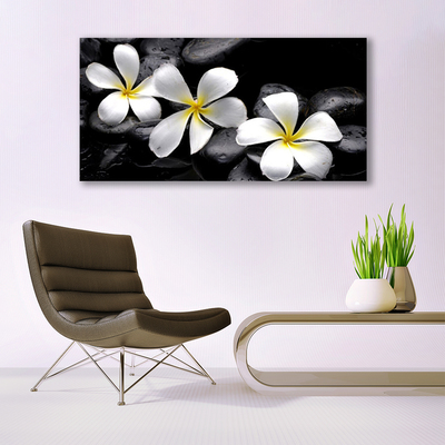 Schilderij op canvas Plumeria bloem plant