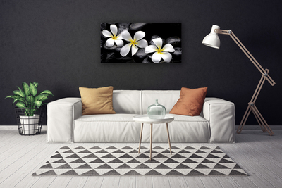 Schilderij op canvas Plumeria bloem plant