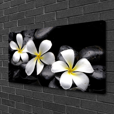 Schilderij op canvas Plumeria bloem plant