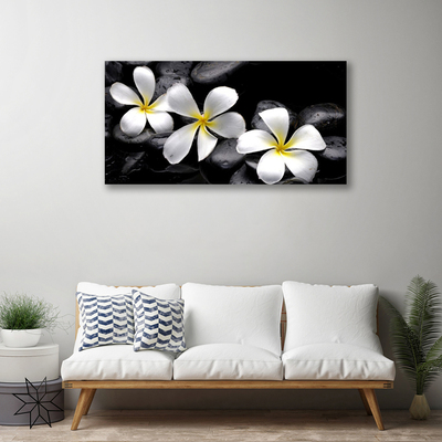 Schilderij op canvas Plumeria bloem plant