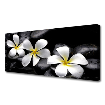 Schilderij op canvas Plumeria bloem plant