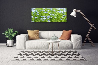 Schilderij op canvas Bloemen plant grass nature