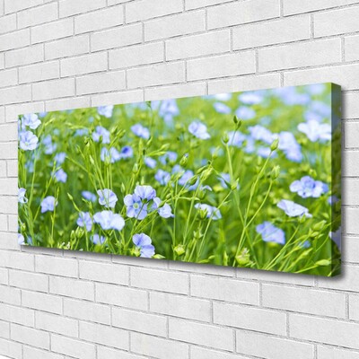 Schilderij op canvas Bloemen plant grass nature