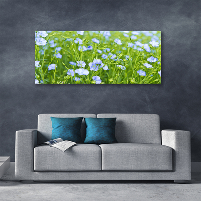 Schilderij op canvas Bloemen plant grass nature