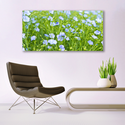 Schilderij op canvas Bloemen plant grass nature