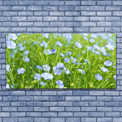 Schilderij op canvas Bloemen plant grass nature