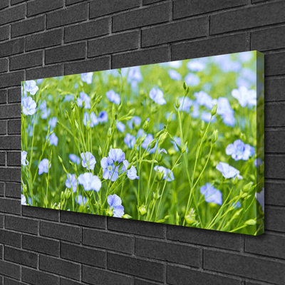 Schilderij op canvas Bloemen plant grass nature