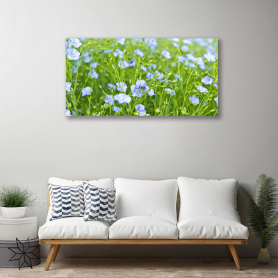 Schilderij op canvas Bloemen plant grass nature