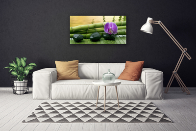 Schilderij op canvas Flower stones bamboe natuur