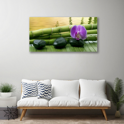 Schilderij op canvas Flower stones bamboe natuur