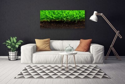 Print van doek Grass nature plant