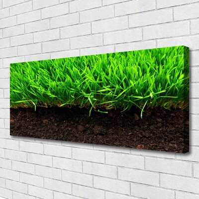 Print van doek Grass nature plant