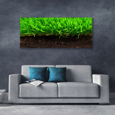 Print van doek Grass nature plant