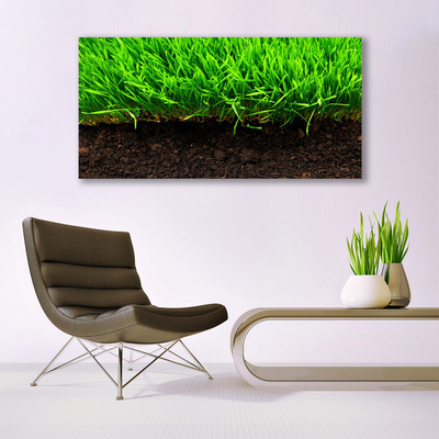 Print van doek Grass nature plant