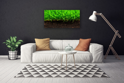 Print van doek Grass nature plant