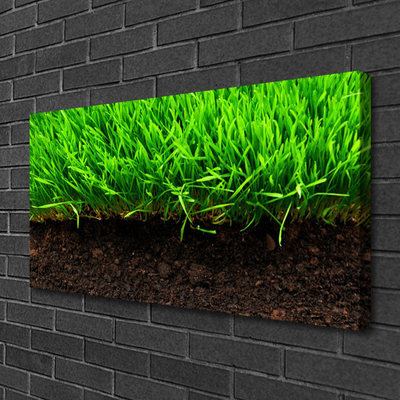 Print van doek Grass nature plant