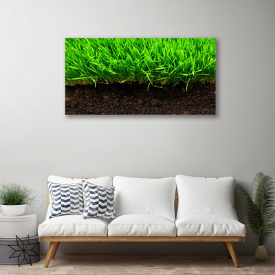 Print van doek Grass nature plant