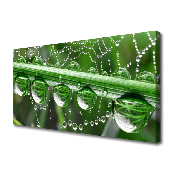 Print van doek Cobweb drops plant