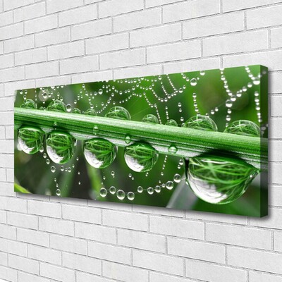 Print van doek Cobweb drops plant