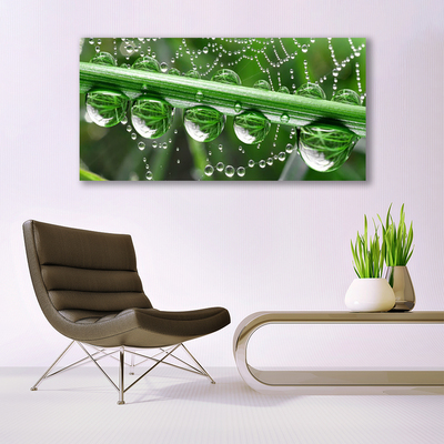 Print van doek Cobweb drops plant