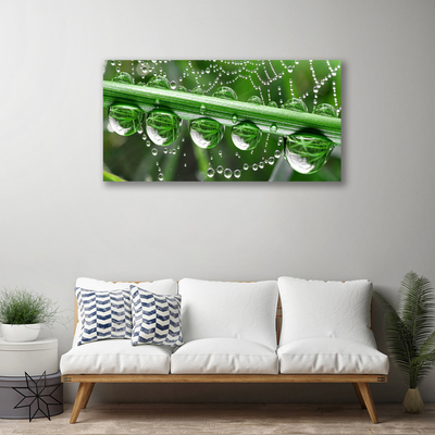 Print van doek Cobweb drops plant