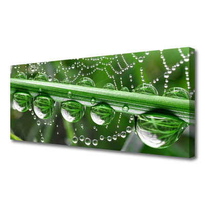 Print van doek Cobweb drops plant