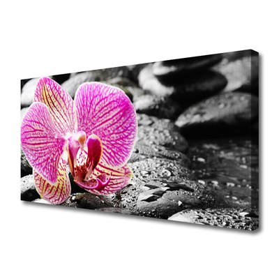 Print van doek Orchidee bloem stones