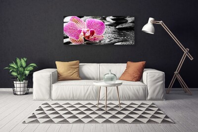 Print van doek Orchidee bloem stones