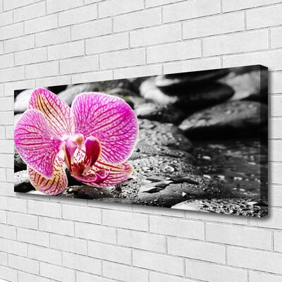 Print van doek Orchidee bloem stones