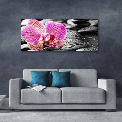 Print van doek Orchidee bloem stones