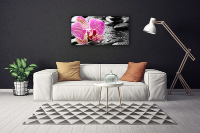 Print van doek Orchidee bloem stones