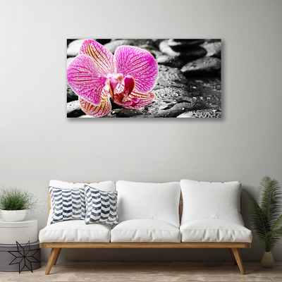 Print van doek Orchidee bloem stones