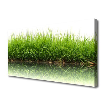 Print van doek Grass nature plant