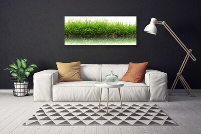 Print van doek Grass nature plant