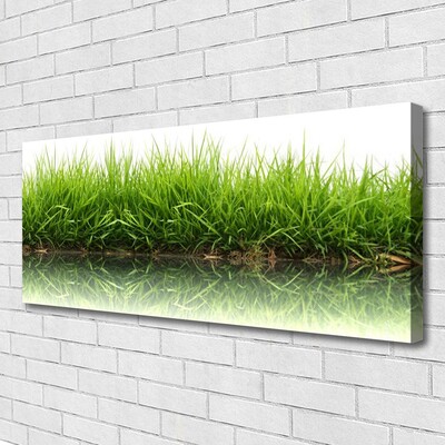 Print van doek Grass nature plant