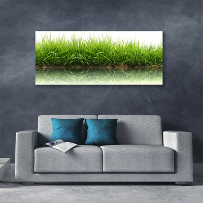 Print van doek Grass nature plant