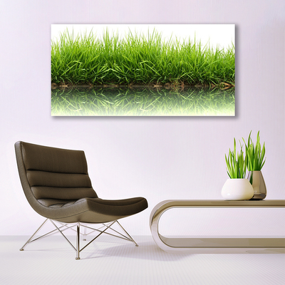 Print van doek Grass nature plant