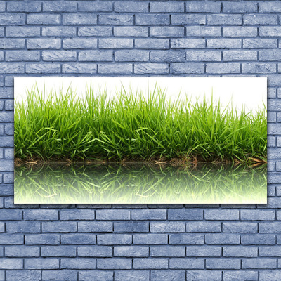 Print van doek Grass nature plant